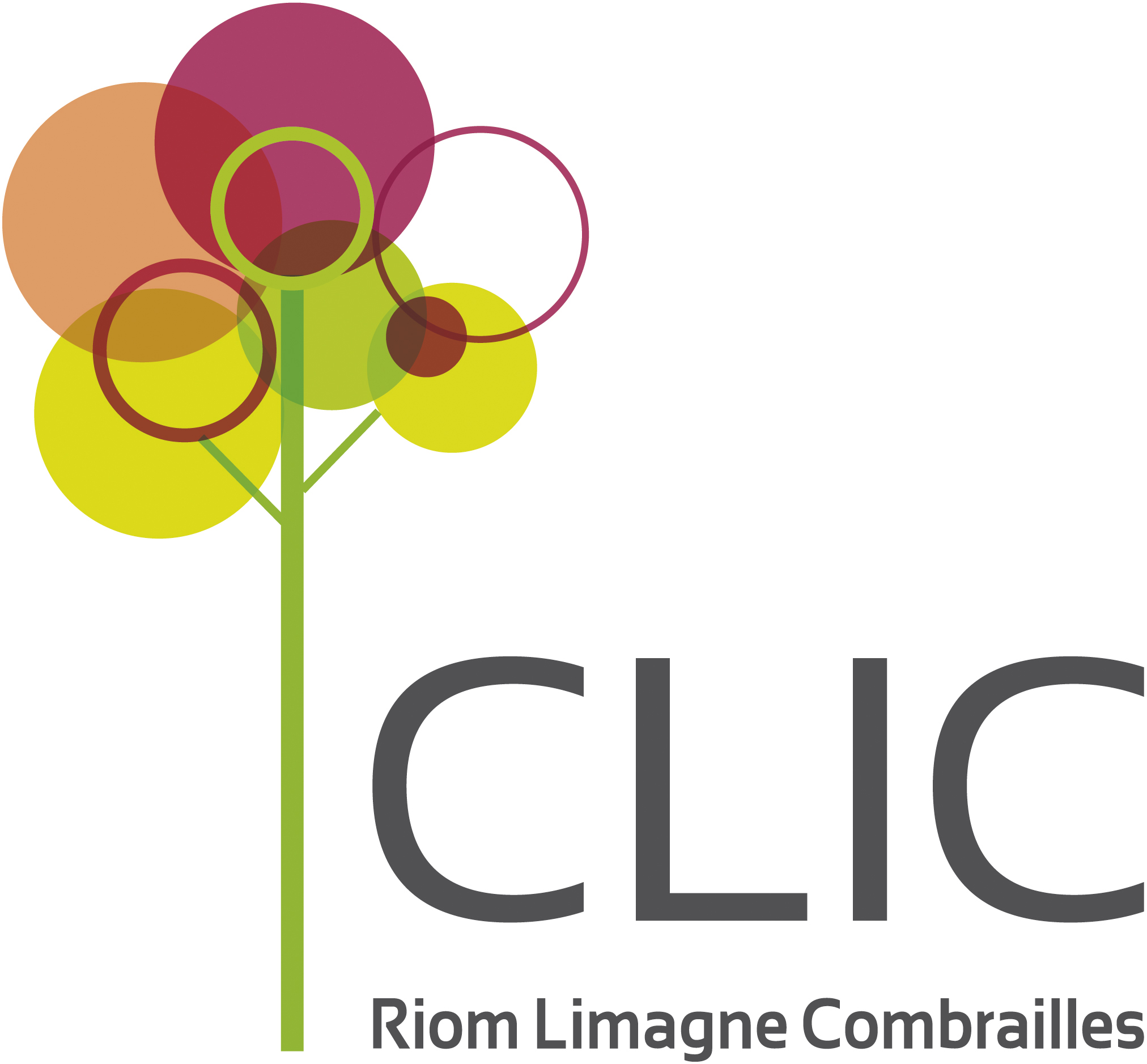 CLIC RIOM